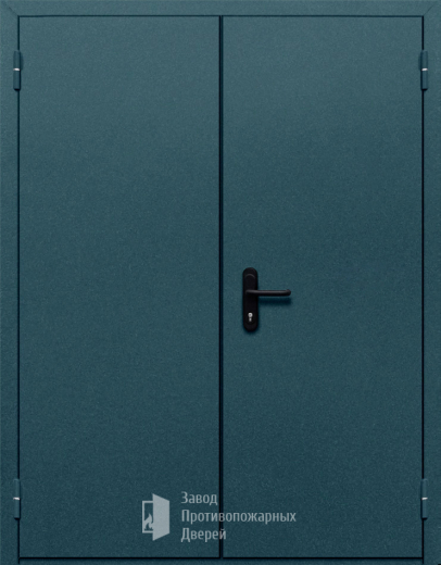 Фото двери «Двупольная глухая №37» в Ногинску