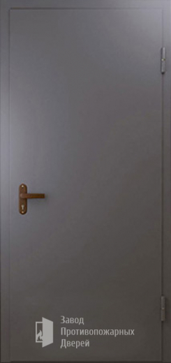 Фото двери «Техническая дверь №1 однопольная» в Ногинску