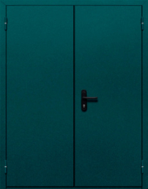 Фото двери «Двупольная глухая №36» в Ногинску